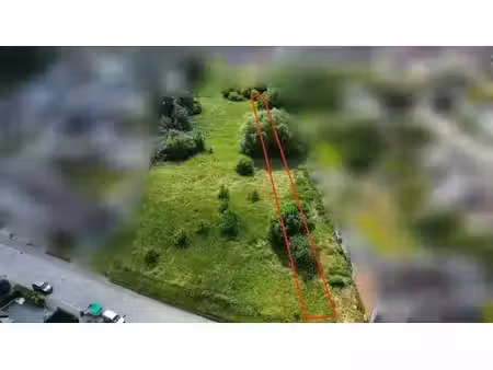 terrain