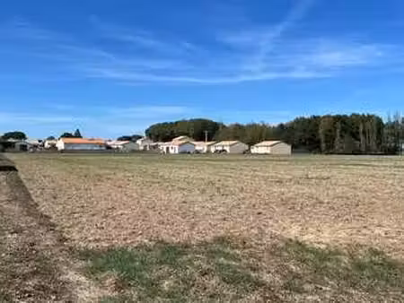 vente terrain à vieillevigne (44116) : à vendre / vieillevigne