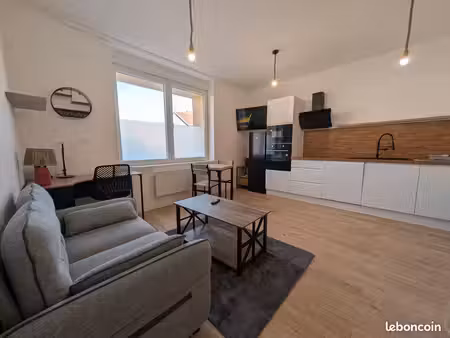 t2 meublé lumineux 31m² • rdc • rénové 2026 • idéal frontalier (1 pers) • entrée indépenda