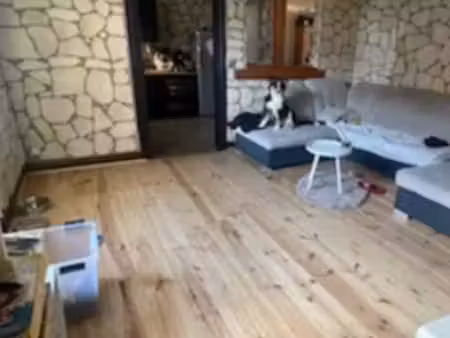 belle appartement