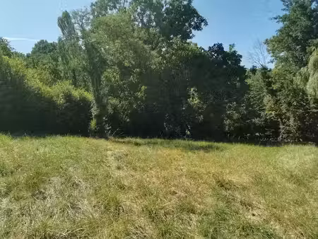 vente terrain 1200 m² à saint-pal-de-mons (43620)  62 000 €