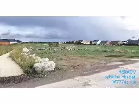 vente terrain 435 m² à montigny-en-gohelle (62640)  65 250 €