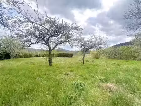 vente terrain 800 m² à bourg-bruche (67420)  70 000 €