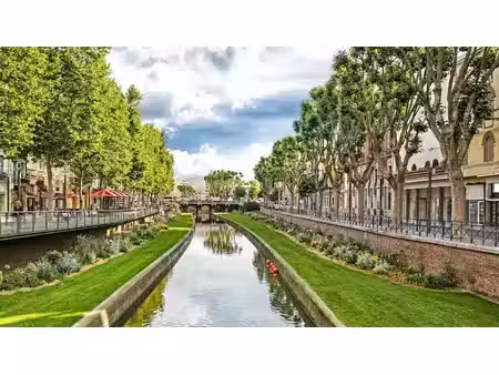 vente terrain 290 m² à perpignan (66000)  84 900 €