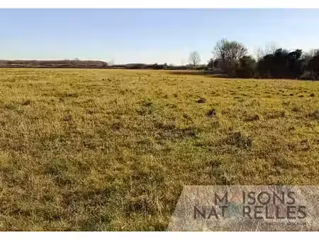 vente terrain 3200 m² à boisjean (62170)  115 000 €