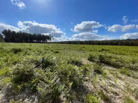 vente terrain 1116 m² à lit-et-mixe (40170)  160 000 €