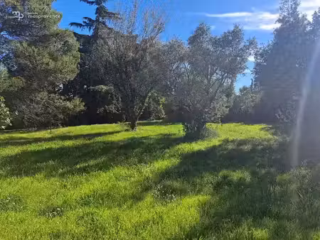 vente terrain 850 m² à saint-laurent-des-arbres (30126)  150 000 €