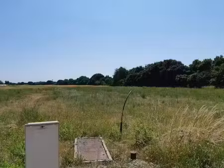 vente terrain 769 m² à wingles (62410)  109 484 €