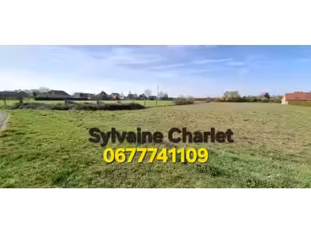 vente terrain 585 m² à hantay (59496)  123 000 €