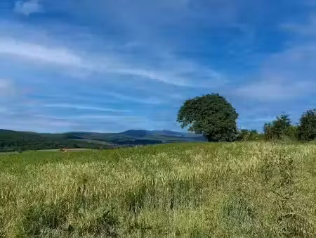 vente terrain 492 m² à wasselonne (67310)  118 080 €