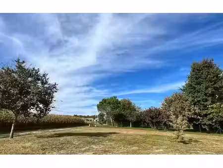 vente terrain 1000 m² à pibrac (31820)  230 000 €