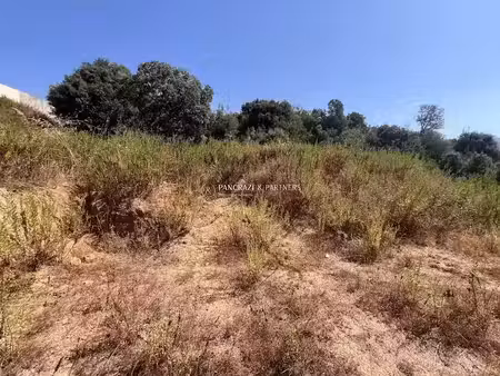 vente terrain à batir 1387 m² à bastelicaccia (20129)  269 000 €