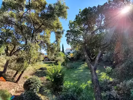 vente terrain 1000 m² à saint aygulf (83370)  515 000 €