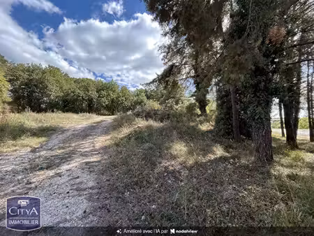 terrain