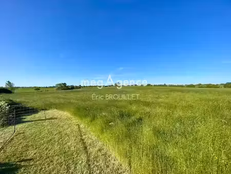 vente maison 6 pièces 144 m² à saint-georges-sur-loire (49170)  409 000 €