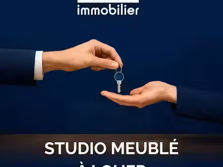 location meublée appartement 1 pièce 18 m² à chateauroux (36000)  390 €
