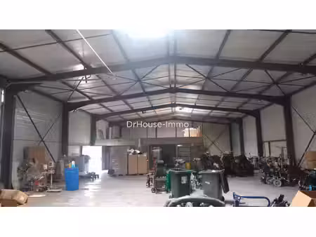 locaux commerce-artisanal-industriels