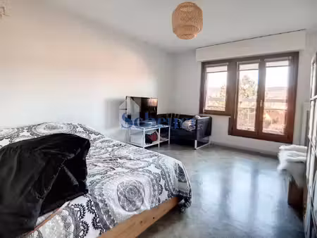molsheim - 1 piece - 27.06m²