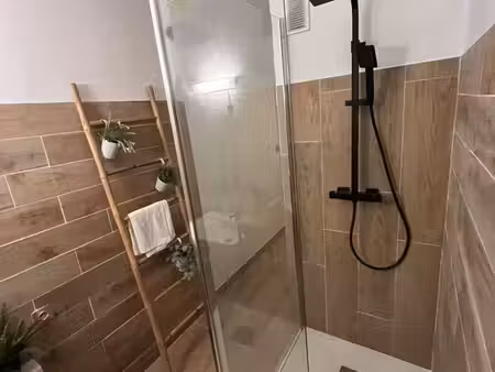 grand appartement t5 rénové   lumineux au calme