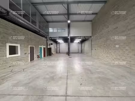 vente local d’activités collégien 77090 850m²