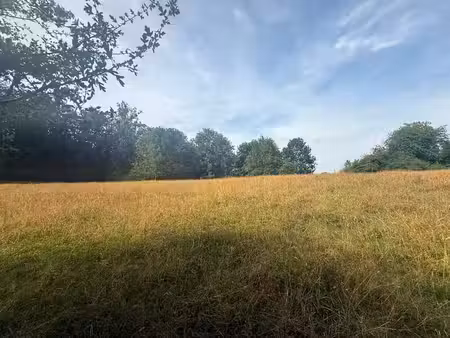 une prairie composée de deux parcelles de terre.