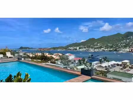 appartement saint-martin (971)