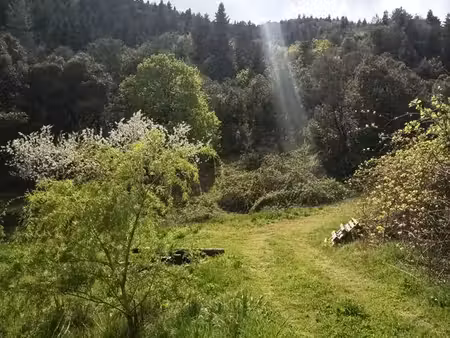 propriété agricole & d'agrément 2 05 ha – forage  serre  droit à bâtir – roquedur / ganges