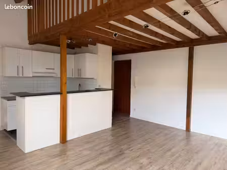 appartement 2 pièces + mezzanine - 54 20m2