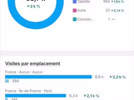 e-commerce établi depuis 2023