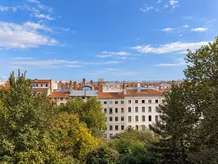 appartement lyon 1 pièce(s)