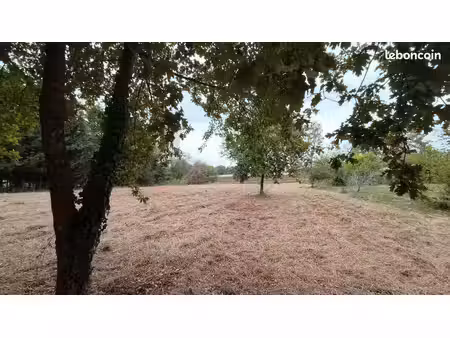 terrain 3 620 m² le houga