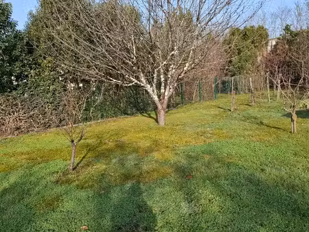terrain viabilisé