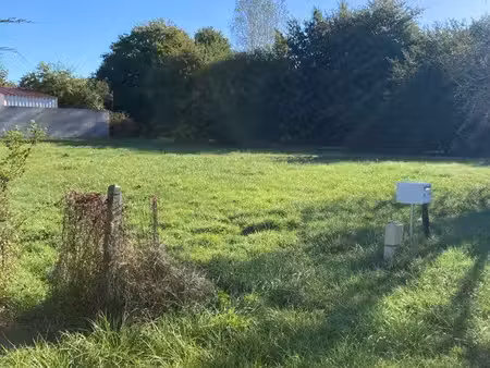 terrain constructible