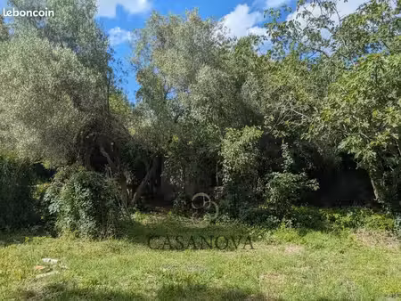 terrain 643 m² saint vincent de barbeyrargues