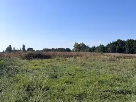 terrain à construire