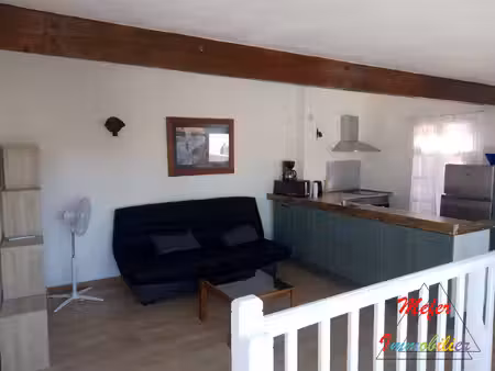 beau duplex rénové avec terrasse
