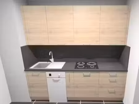 location appartement 2 pièces 47.57 m² à francheville (69340)  798 €