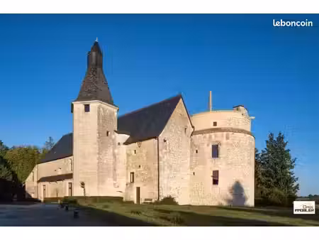 château 15 pièces 670 m²