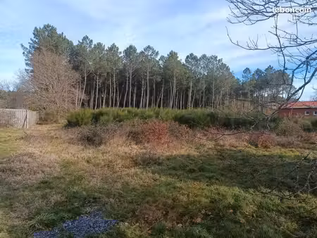 terrain de 1796 m2 libre de constructeur