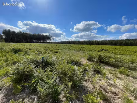 terrain 1 116 m² lit et mixe