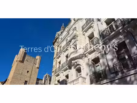 propriété narbonne (11)
