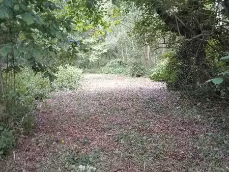 terrain de loisirs  404 m2  secteur gachet  proche parc de la chantrerie