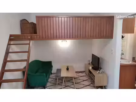 nantes cathédrale – t1 bis avec mezzanine et cabanon