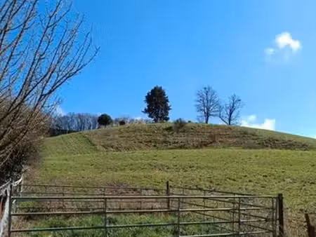 terrain agricole à vendre