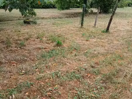 terrain a construire