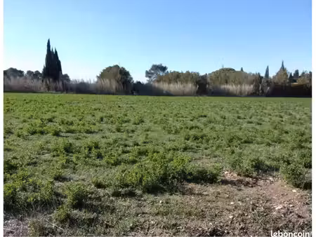 terrain viabilisé prêt à construire