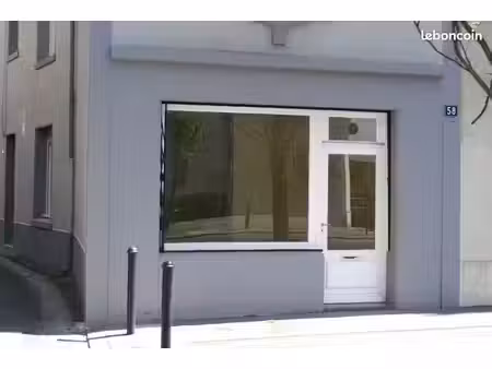 nantes schuman local professionnel ou commercial
