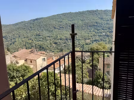 t3 de 50 52 m2  entièrement rénové avec balcon  grande cave