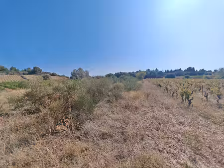 terrains bages 8880m2