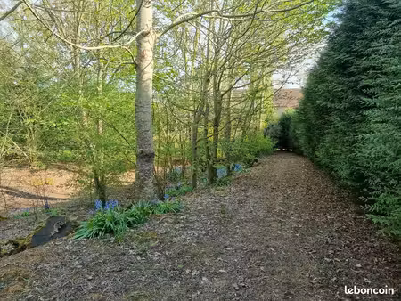 terrain agricole